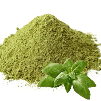 Basil Powder