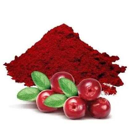 Cranberry Powder