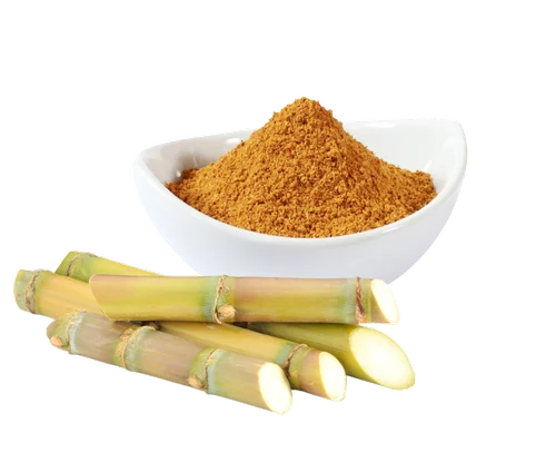 Sugarcane Juice Powder